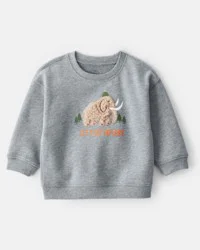 Carter's Baby Boy Mammoth Pullover Sweatshirt - Grey 12M