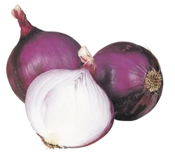 Organic Red Onions