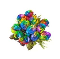 Market Fresh Rose Rainbow