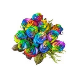 Market Fresh Rose Rainbow