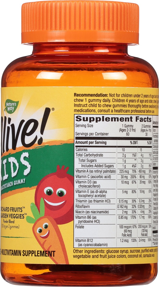 slide 8 of 9, Nature's Way Alive! Kids Multivitamin Gummy, 15 Vitamins & Minerals, Gelatin-Free, Cherry, Orange, and Grape Flavored, 60 Gummies, 60 ct