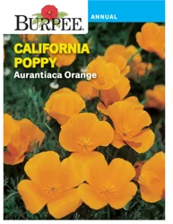 Burpee California Poppy Aurantiaca Orange