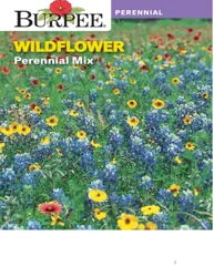 Burpee Wildflower Perennial Mix
