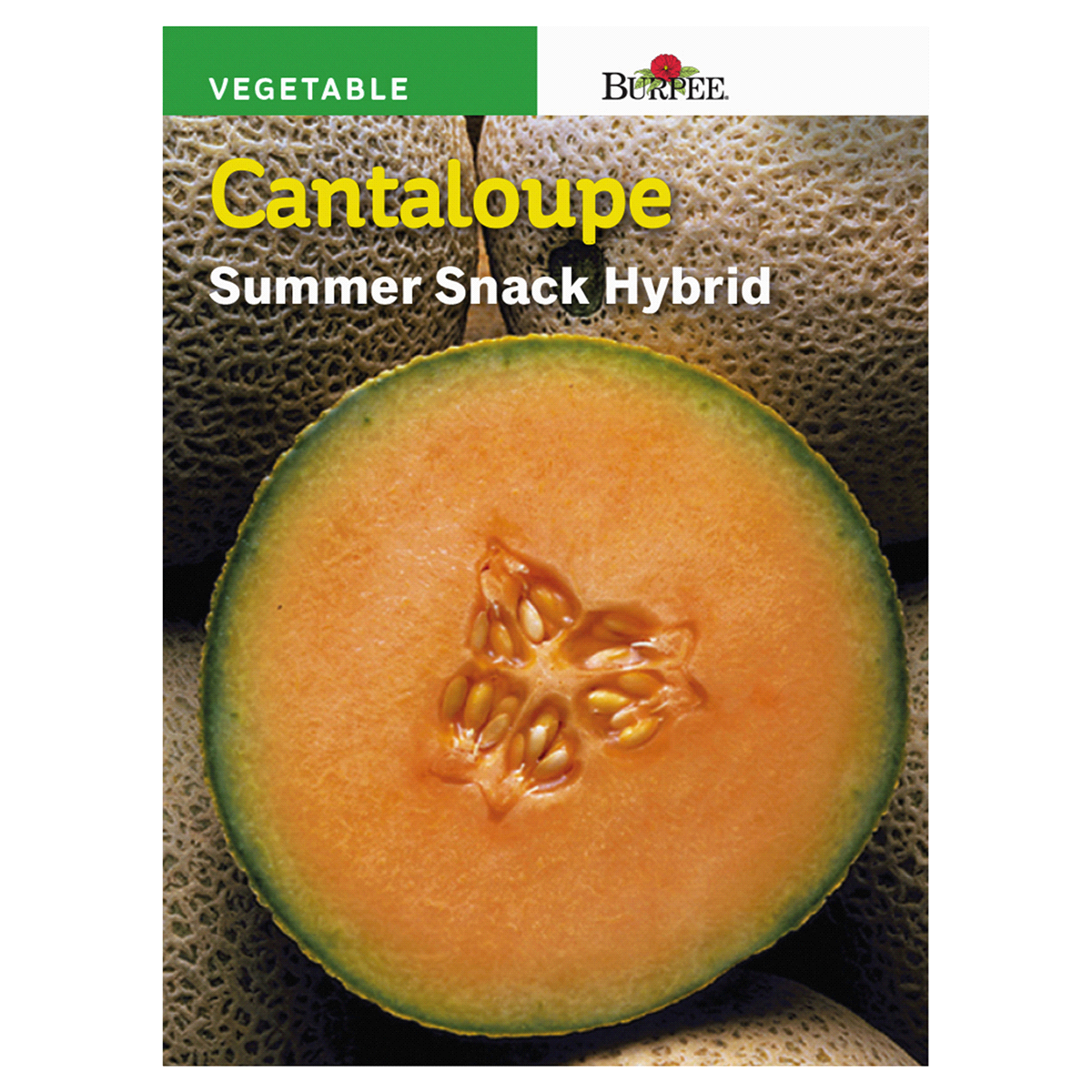 slide 1 of 1, BUrpee Cantaloupe, Summer Snack Hybrid, 1 ct