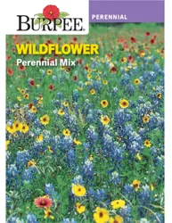 Burpee Perennial Wildflower Mix