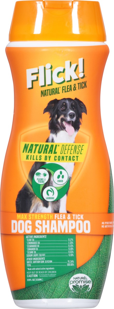 slide 9 of 9, Flick! Max Strength Flea & Tick Dog Shampoo 22 fl oz, 22 oz