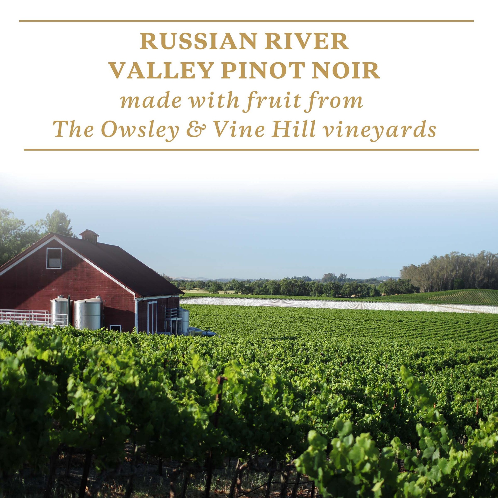 slide 8 of 8, Sonoma-Cutrer Russian River Valley Sonoma County Pinot Noir 750 ml, 750 ml