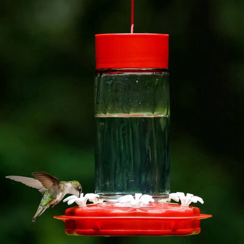 slide 5 of 6, Nature's Way Bird Products Nature's Way 20oz Scarlet Swirl Glass Hummingbird Feeder: Easy Clean, Weather-Resistant, 5 Feeding Stations, 20 oz