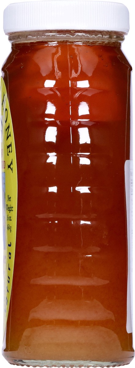 slide 11 of 14, Bee Boys Local & Unprocessed Wildflower & Clover Honey - 16 oz, 16 oz