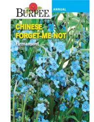 Burpee Chinese ForgetMeNot Firmament