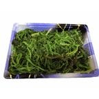 slide 1 of 1, Fresh Seaweed Salad, 1 ct