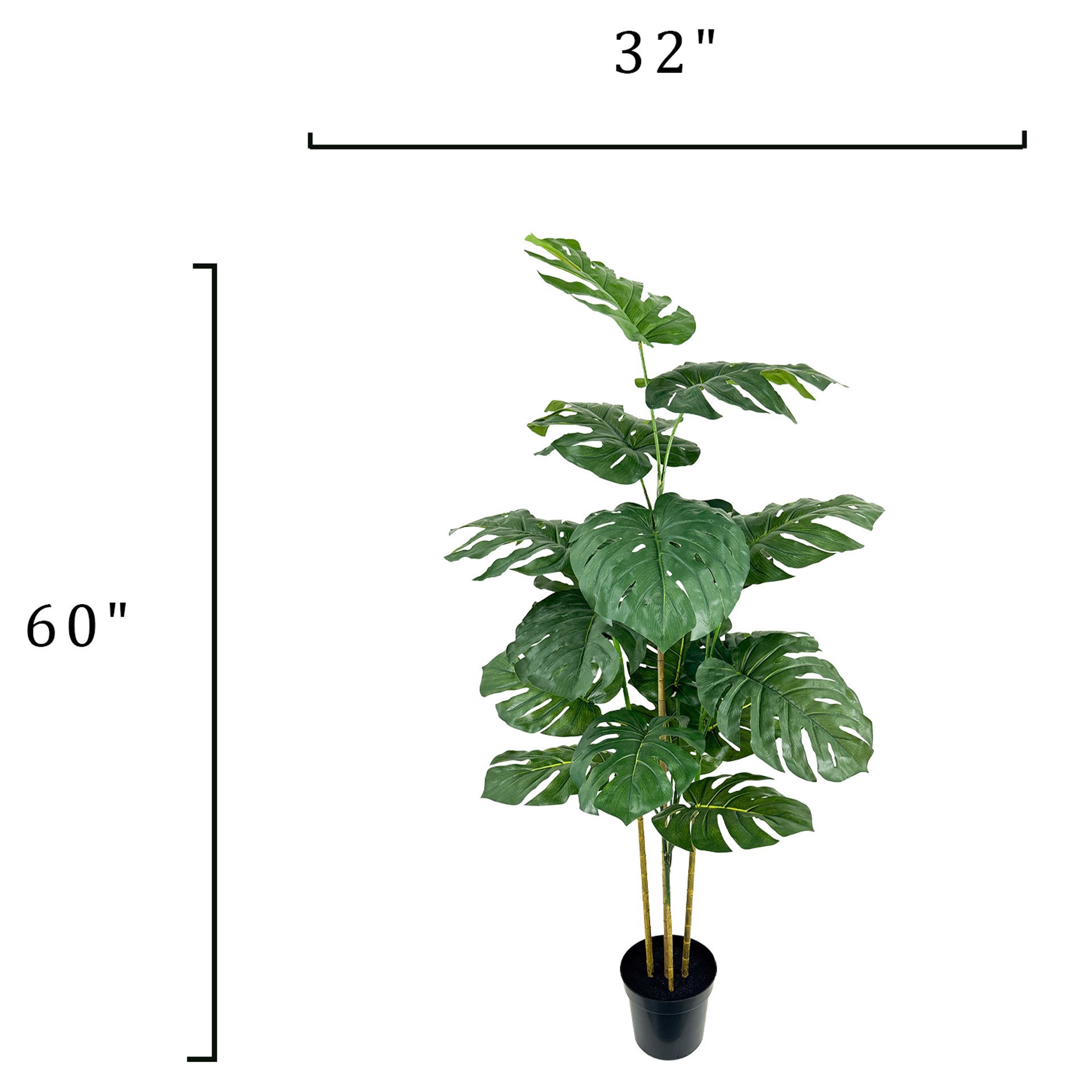 slide 3 of 3, 5ft. Potted Monstera Deliciosa Tree By Ashland, 32 in x 32 in x 60 in