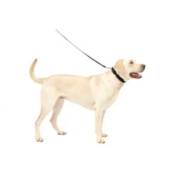 PetSafe UNKNOWN Default Product Name