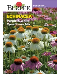 Burpee Per Echinacea Pur & White Coneflower