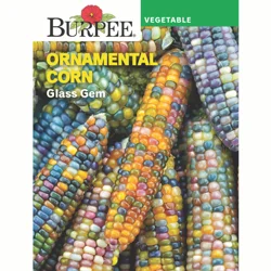 Burpee Ornamental Glass Gem Corn
