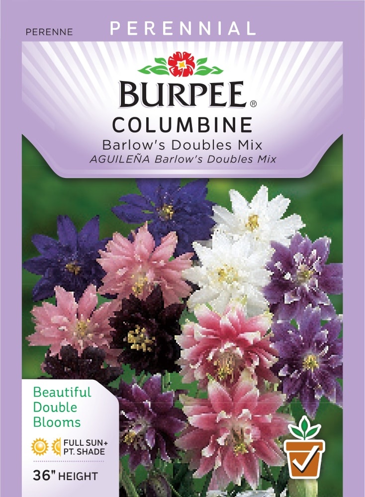 slide 1 of 1, Burpee Barlow's Doubles Mix Columbine Seeds, 1 ct