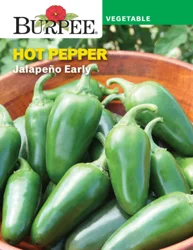 Burpee Heir Pepper Hot Jalapeno Early