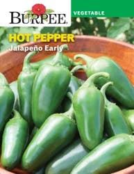 Burpee Heir Pepper Hot Jalapeno Early