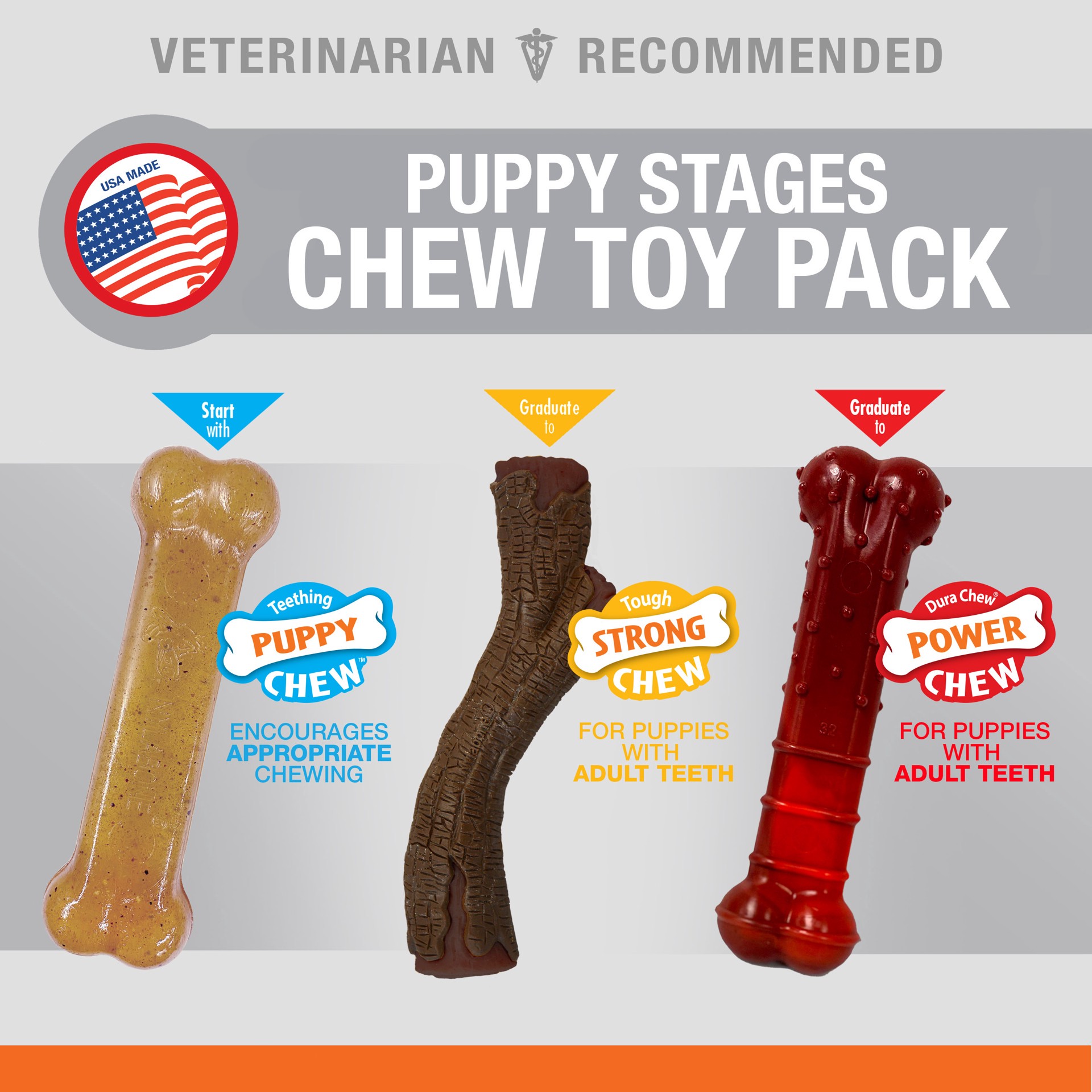 slide 3 of 8, Nylabone Puppy Chew Stages Triple Pack Chewy Toys Chicken, Bacon, & Beef Jerky Triple Pack Medium/Wolf - Up to 35 lbs.(3 Count), 1 ct