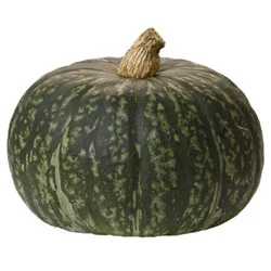 Organic Squash Kabocha