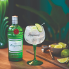 slide 4 of 7, Tanqueray London Dry Gin , 1 liter