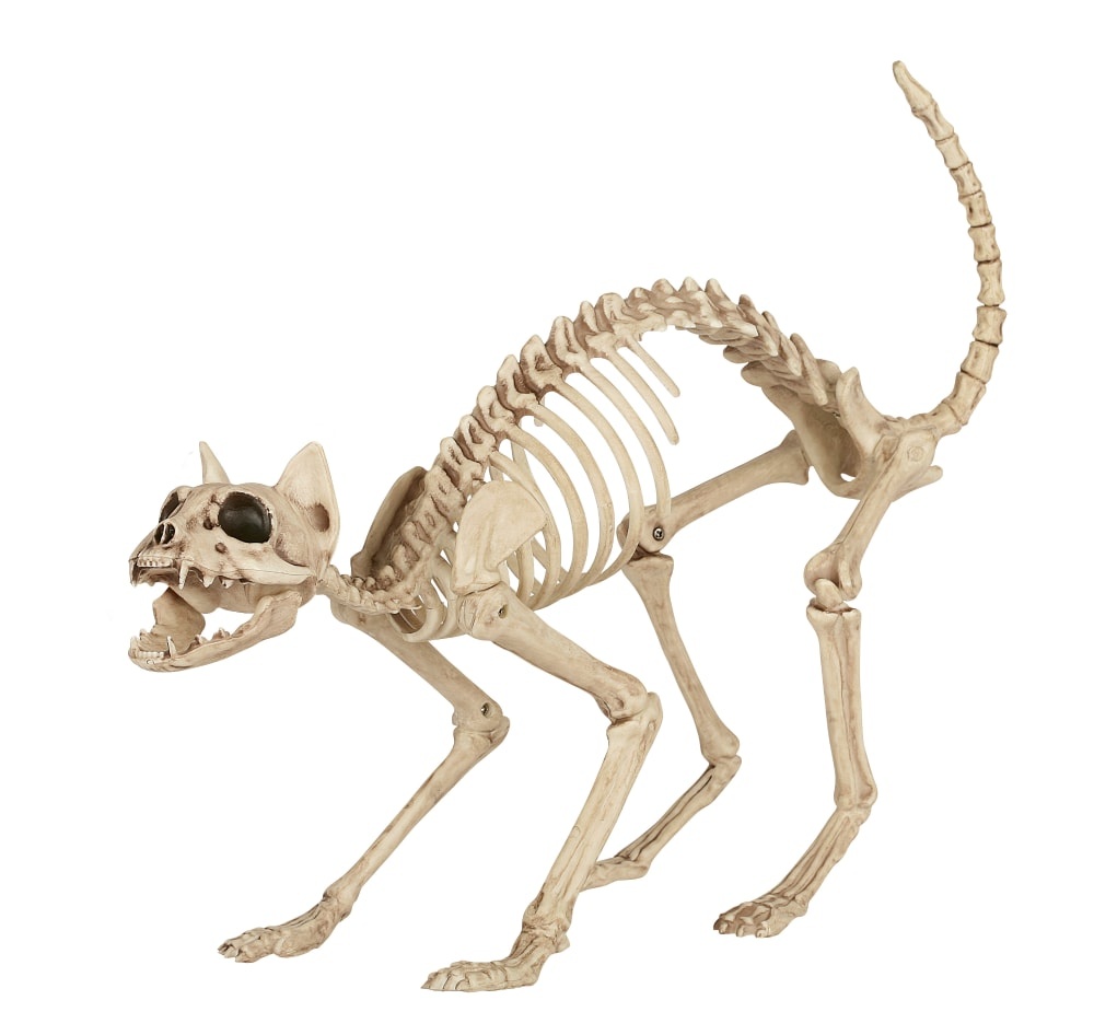 slide 1 of 1, Holiday Home Skeleton Cat, 10.25 in