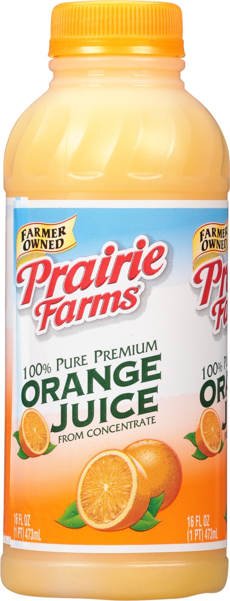 slide 4 of 11, Prairie Farms Orange Juice - 16 fl oz, 16 fl oz