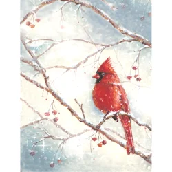 Boxed Holiday Cards Winter Cardinal