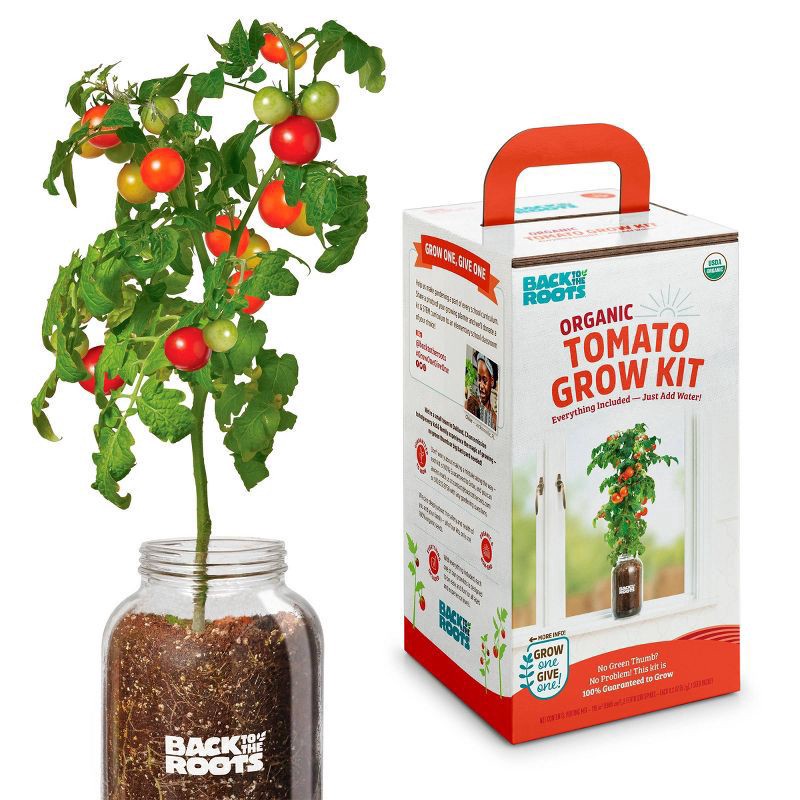 slide 1 of 7, Back to the Roots Self Watering Cherry Tomato Planter, 1 ct