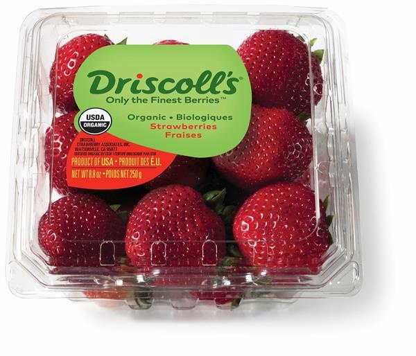 slide 1 of 1, Driscoll's Berry Strawberry Organic, 8.8 oz