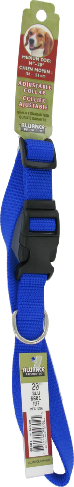 slide 2 of 2, Alliance Blue Medium Dog Collar, 1 ct