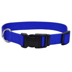 Alliance Blue Medium Dog Collar