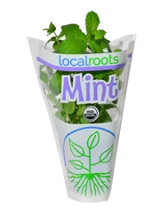 Local Roots Potted Organic Mint