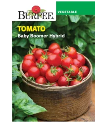 Burpee Cherry Baby Boomer Hybrid Tomato