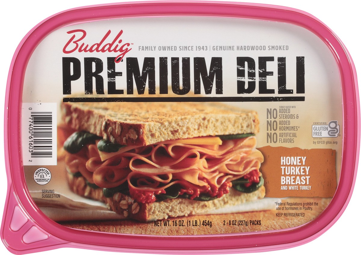 slide 3 of 12, Buddig Premium Deli Honey Turkey Breast and White Turkey Lunch Meat 2 - 8 oz Packs, 2 ct