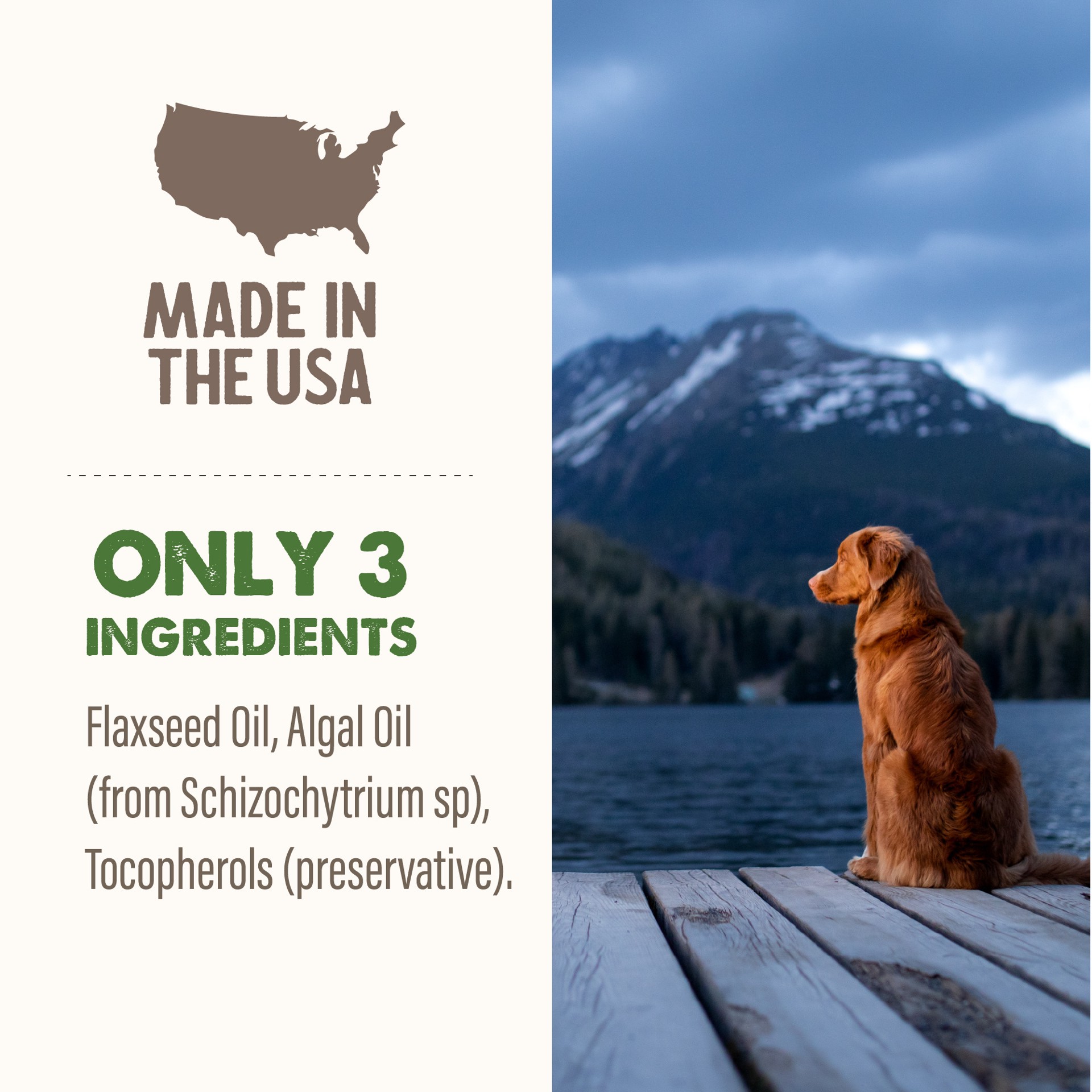 slide 6 of 9, Grizzly Algal Plus Omega 3-6-9 Food Supplement for Dogs and Cats, 16 oz. Bottle, 16 oz