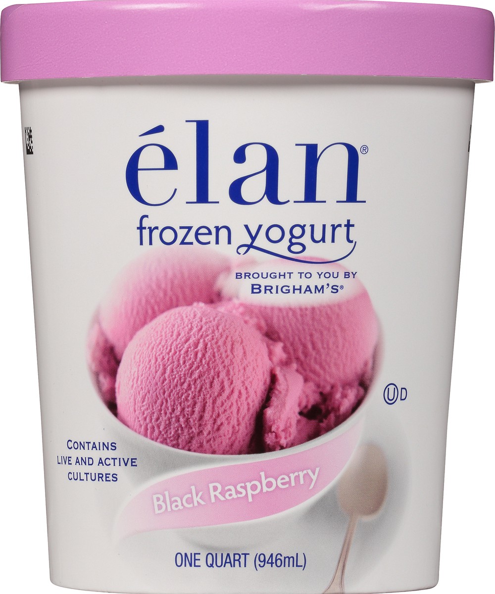 slide 2 of 8, Elan élan Black Raspberry Frozen Yogurt, 1 Quart, 1 qt