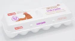 Generic Eggs