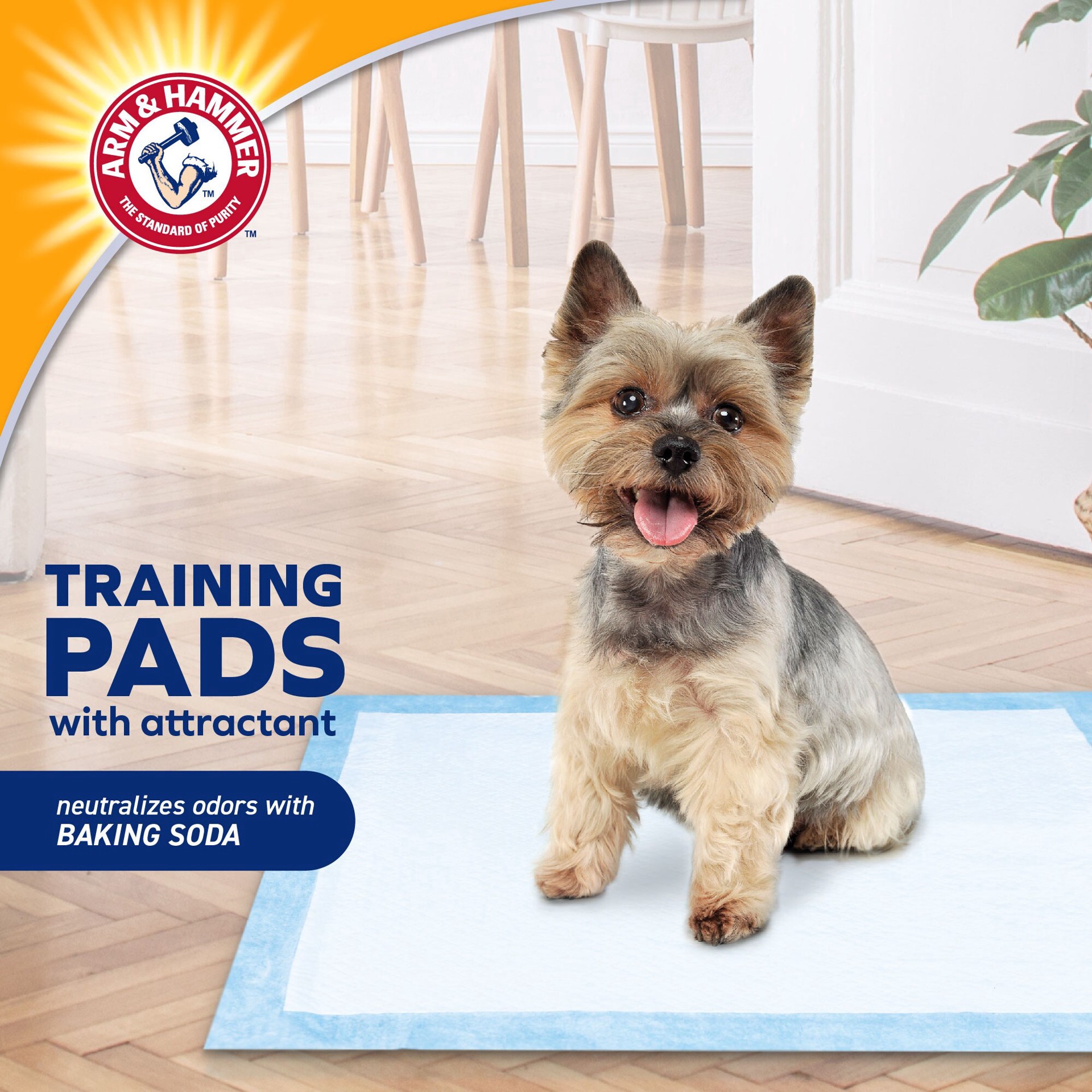 slide 2 of 6, ARM & HAMMER Arm And Hammer Dog Training Pads, 25 ct