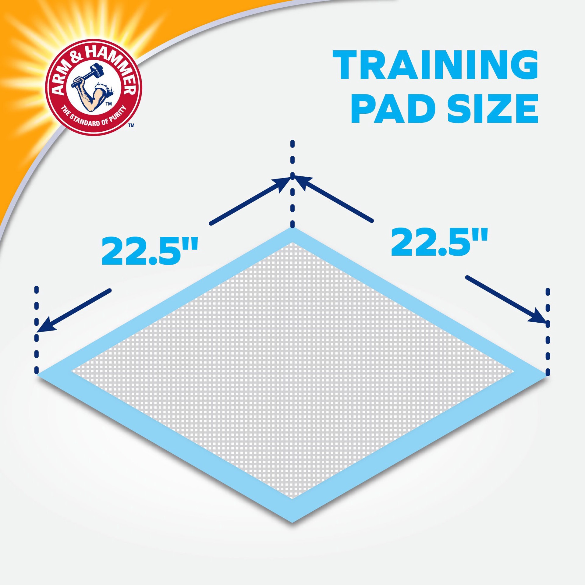 slide 3 of 6, ARM & HAMMER Arm And Hammer Dog Training Pads, 25 ct