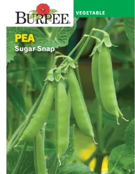 Burpee Heir Pea Sugar Snap