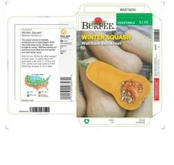 Burpee Heir Squash Winter Waltham Butternut