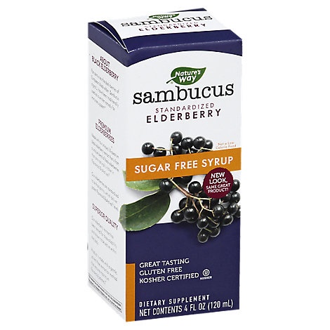 slide 1 of 1, Nature's Way Natures Way Sugar Free Sambucus Syrup, 4 oz