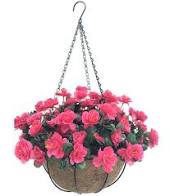 slide 1 of 1, 10" Premium Baskets, 10 in