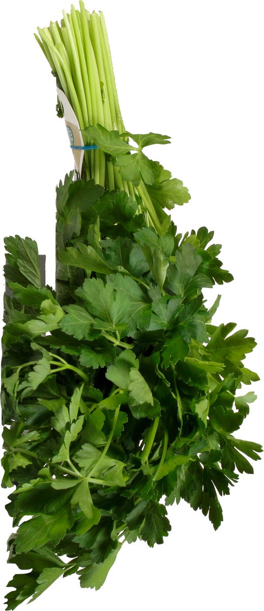 slide 8 of 9, Full Circle Market Full Circle Organic Italian Parsley, 1 ct