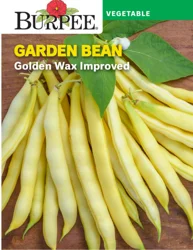 Burpee Bean Bush Wax Golden Wax Improved