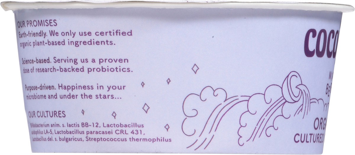 slide 3 of 13, Cocojune Organic Mixed Berry Cultured Coconut 1 ea, 