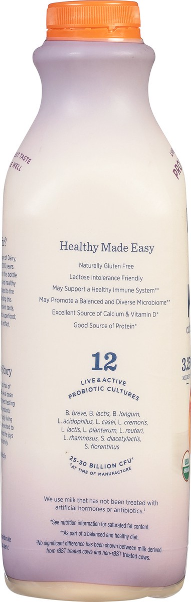 slide 2 of 9, Lifeway Kefir, 32 fl oz