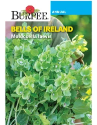 Burpee Heir Bells of Ireland