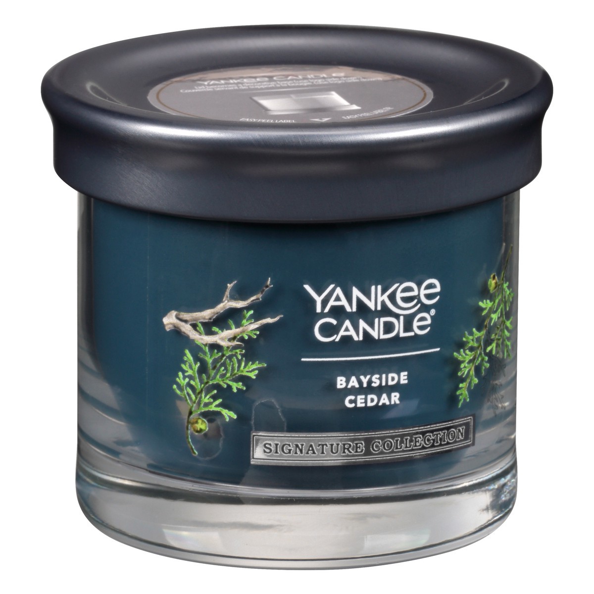 slide 2 of 9, Yankee Candle Bayside Cedar Candle 1 ea, 1 ct